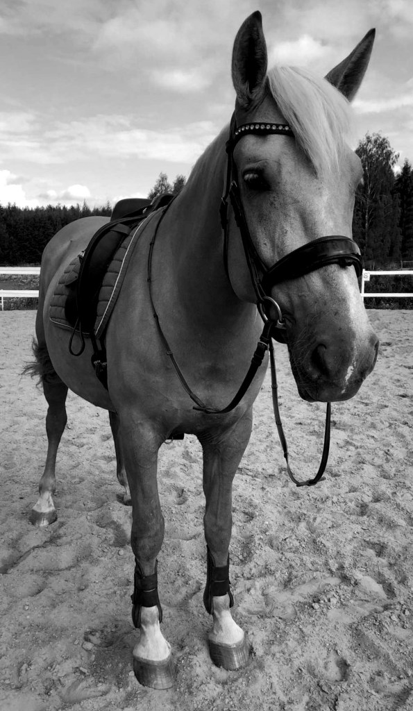 This image has an empty alt attribute; its file name is lahja-2.jpg